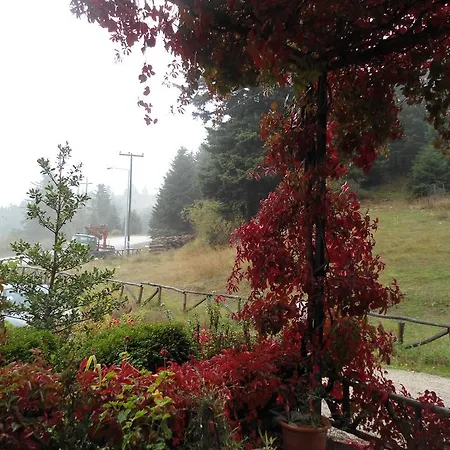 Hani Mpagasaki Pensionat 3*