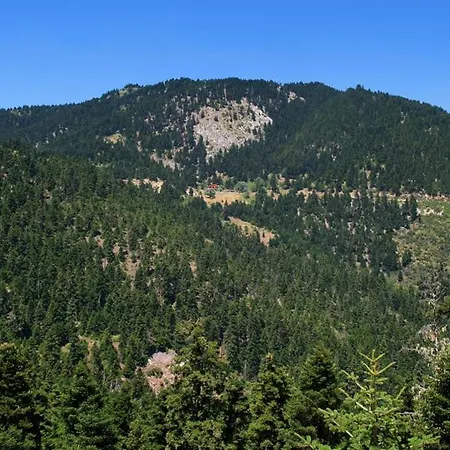 Pensionat Hani Mpagasaki 3*