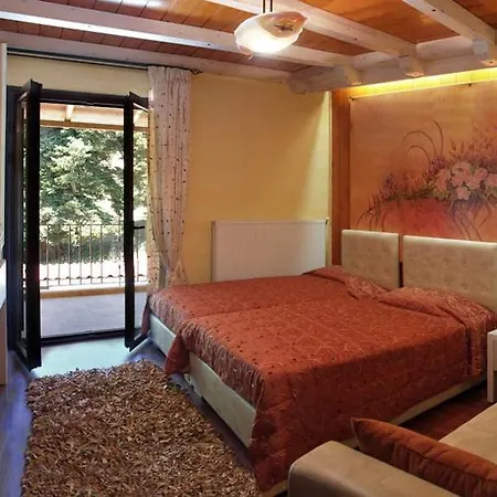 Hani Mpagasaki Koryshades