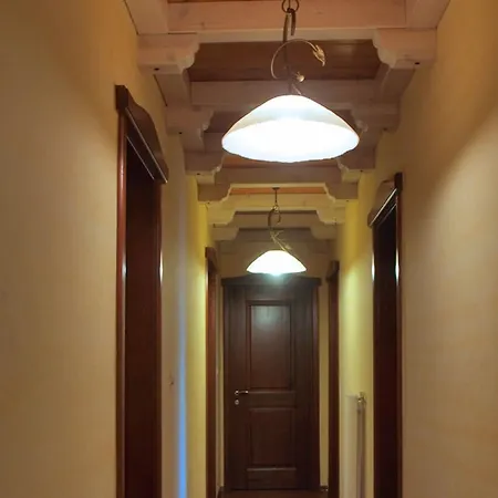 Hani Mpagasaki Koryshades